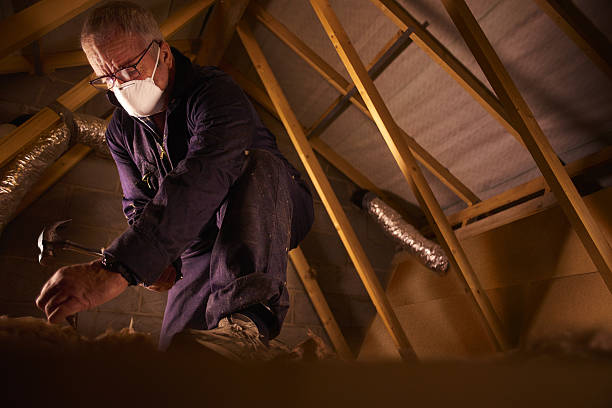 Best Geographic-Specific Insulation Services in Eagle, CO