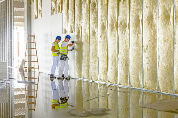 Best Blown-in Insulation in Eagle, CO